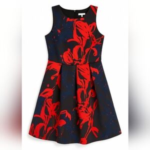 Established 1962 Cocktail Dress| Women’s Size 14